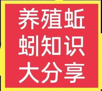 ​蚯蚓的销路在哪里？如何加工？一文全说清！(附带养殖方法)