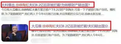 ​事实证明！徐峥陶虹转移财产逃到国外这事，或许是一场口嗨做的怪