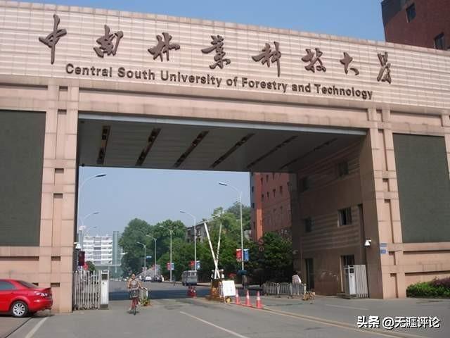 中南林科大属于什么档次（成败皆因中南成就了中南林）(2)