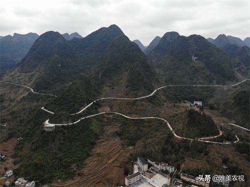 航拍图片：广西母亲河红水河东兰段，生命如水有哪段不美？