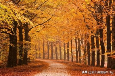 ​百姓挣钱太难了，不是社会的戾气太重，而是我们心里憋气没地方撒