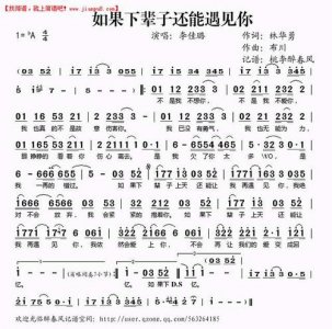 ​如果下辈子还能遇见你是什么歌（如果下辈子还能遇见你歌词原文）
