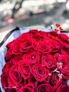 ​情人节送玫瑰花应该送多少朵合适（情人节送玫瑰花应该送几朵合适）