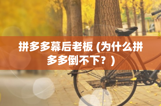 拼多多幕后老板 (为什么拼多多倒不下？)
