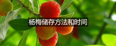 ​杨梅储存方法和时间 杨梅储存方法和时间 杨梅储存方法有哪些有哪些