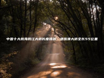 ​中国十大跨海跨江大桥长度排名，港珠澳大桥全长55公里