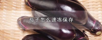 ​茄子怎么速冻保存