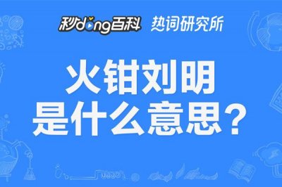 ​火钳刘明是什么意思