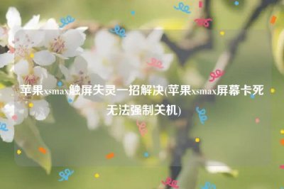 ​苹果xsmax触屏失灵一招解决(苹果xsmax屏幕卡死 无法强制关机)