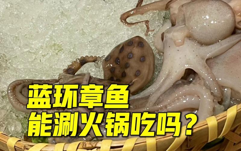 生活网友称吃火锅遇剧毒蓝环章鱼 蓝环章鱼煮熟了还有毒吗  1