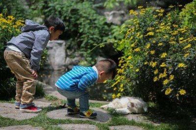 ​中国迎来“人口危机”！出生率不断下滑，是不愿生还是不敢生？