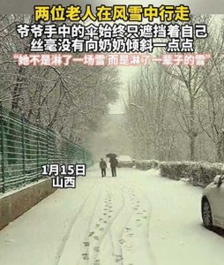 ​两位老人风雪中行走，爷爷手中伞丝毫没向奶奶倾斜，背影令人心酸