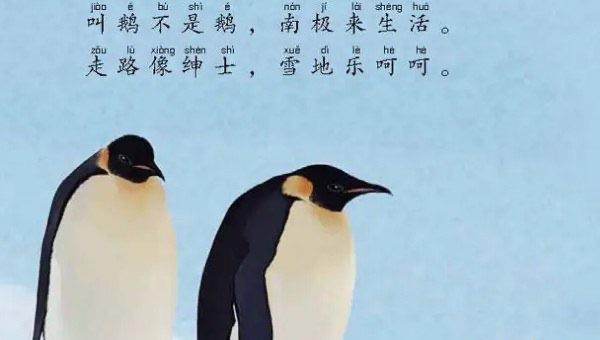 生活儿童谜语大全3到6岁，喜欢和孩子一起玩猜谜语的故事  2