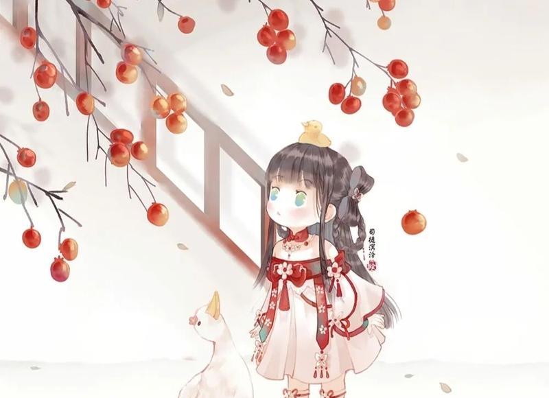 约定的夫妻共同财产都能有哪些
