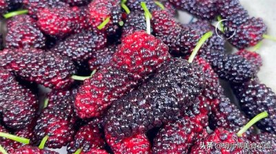 ​洗桑葚的正确方法（桑葚一定要用盐水泡吗）