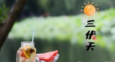 ​三伏天是在哪两个节气之间（距离三伏天最近的节气）