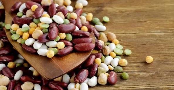 生活减肥食物排行榜前十名（柑橘类水果可以帮助消化）  3