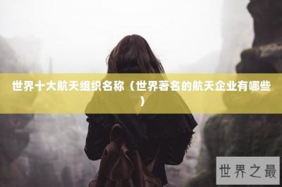 ​世界十大航天组织名称（世界著名的航天企业有哪些）
