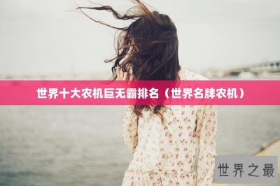 ​世界十大农机巨无霸排名（世界名牌农机）