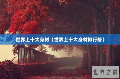 ​世界上十大身材（世界上十大身材排行榜）