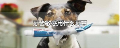 ​单氟磷酸钠是含氟牙膏吗 牙膏里含单氟磷酸钠能用么