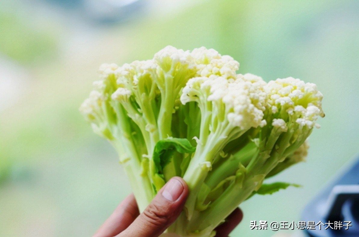 松花菜和花菜有什么区别（详解2种菜花的区别）