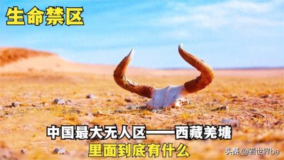 ​生命禁区：西藏羌塘无人区，明令禁止游客穿越，里面到底有什么？