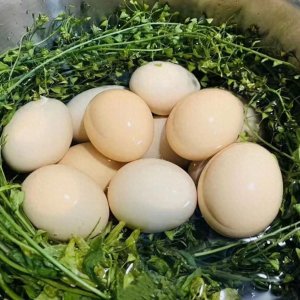 ​今天，你吃了吗？