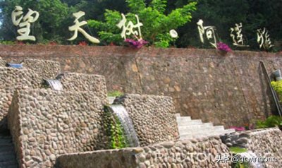 ​“空中漫步”在西双版纳望天树，挑战你的勇气和视野！