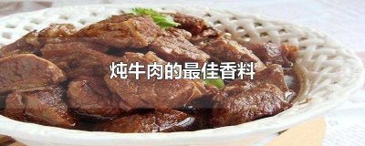 牛肉用什么香料炖好吃 适合炖牛肉的香料
