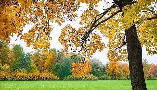 生活波涛汹涌沙滩漫下联是 1