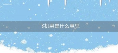 ​飞机男是什么意思
