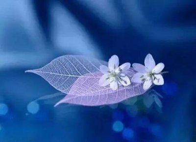 ​考研寄语简短(考研励志文案)