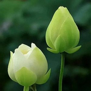 人和人的区别有哪些?