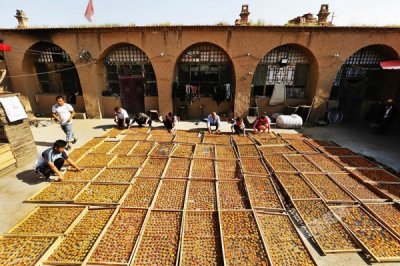 特色杏干飘出醉人香 备选冬奥会食品