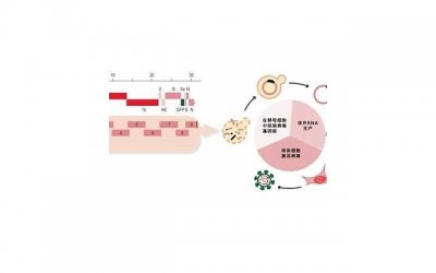 ​两性的长期相处之道——学会舍弃