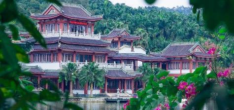 广西南宁赏花好去处，绿荫如盖、繁花似锦，一到春天就美得不像话