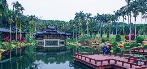 广西南宁赏花好去处，绿荫如盖、繁花似锦，一到春天就美得不像话