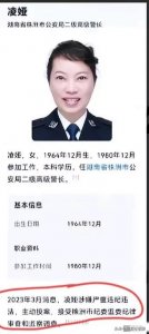 无耻!美女局长酒后当众脱衣!背后的勾当更让人难以置信