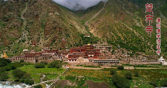 前藏与后藏的区别是什么(前藏和后藏的不同之处)