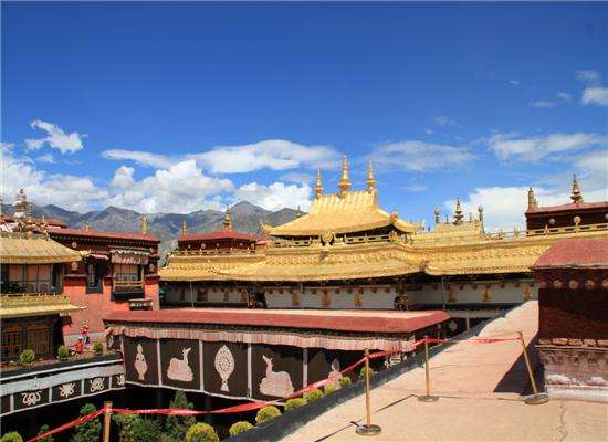 前藏与后藏的区别是什么(前藏和后藏的不同之处)