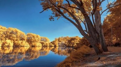 ​走泥丸的意思七律长征 走泥丸出自什么意思解释