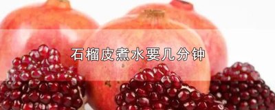 ​石榴皮煮水要几分钟