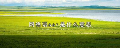 ​网络语ssr是什么意思