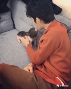 ​井柏然的宠物了解一下？