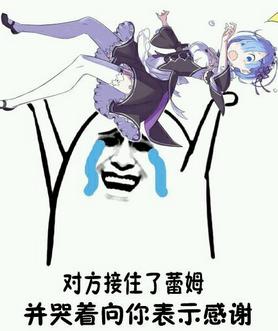 雷姆你听过么（丢你雷姆到底是个什么梗）(2)