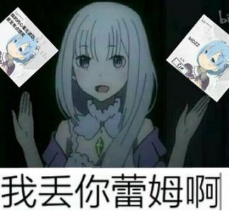 ​雷姆你听过么（丢你雷姆到底是个什么梗）