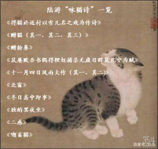 陆游有诗云溪柴火暖蛮毡暖我与狸奴不出门狸奴指(陆游诗句中的狸奴指的是什么