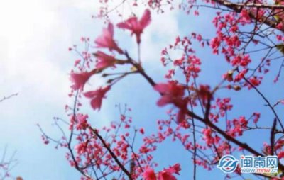 ​脱单了怎么公开（脱单了怎么发朋友圈）