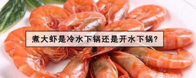 ​煮大虾是冷水下锅还是开水下锅?煮大虾煮几分钟合适